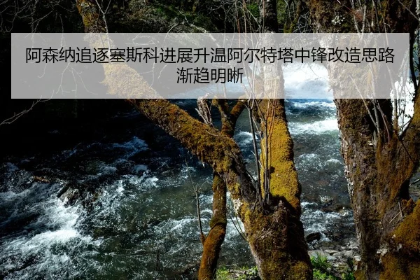 阿森纳追逐塞斯科进展升温阿尔特塔中锋改造思路渐趋明晰